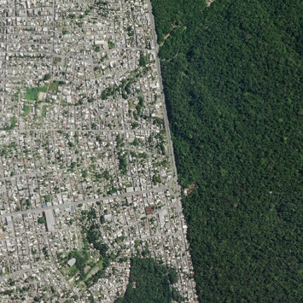 Imagem de satélite revela a marcante divisa entre Manaus e a floresta